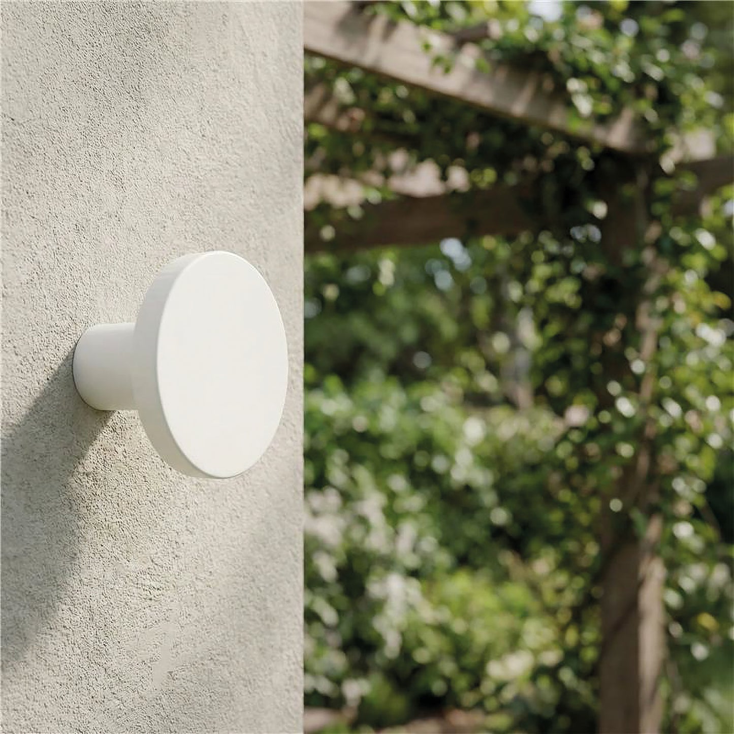 Corvus Applique Bianco