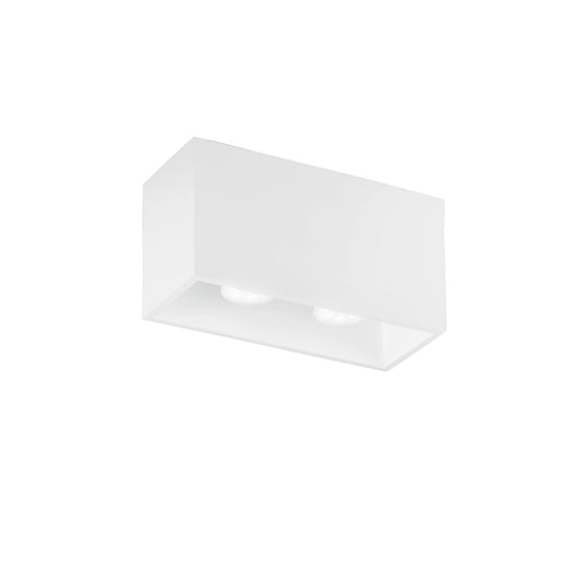 Plafoniera FOSTER in gesso bianco verniciabile con due punti luce